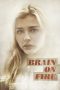 Brain on Fire (2016) Brain on Fire (2016)