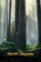 Pete's Dragon (2016) Pete's Dragon (2016)