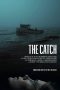 The Catch (2020) The Catch (2020)