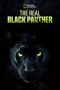 The Real Black Panther (2020) The Real Black Panther (2020)