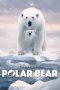 Polar Bear (2022) Polar Bear (2022)