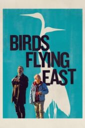 Birds Flying East (2024)