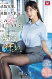 SONE-760 (4K) The usual morning train. The usual scenery. Until I met this woman. A middle-aged salaryman on the verge of retirement becomes obsessed with molesting