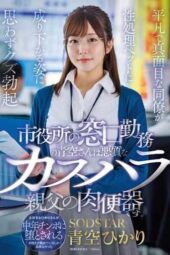 START-424 (4K) Aozora, who works at the city hall front desk, is a cum bucket for a vicious customer harassment man Hikari Aozora