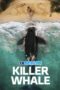 Killer Whale (2026) Dub Killer Whale (2026) Dub