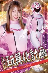SPSA-44 (4K) Heroine Toyification Project: Martial Pink