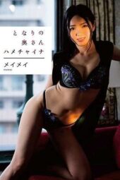 VGD-193 The neighbor’s wife: Hamechina Meimei