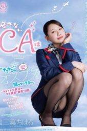 DLDSS-543 The flightless flight attendant is raising a male pig as pet. The worthless captain’s ‘training’ diary on a flight cancellation day