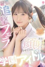 MIDA-730 School idol who keeps sucking after you cum to give you another facial. Ono Rikka